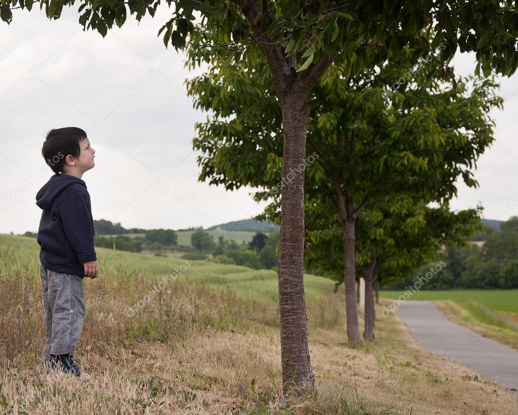 Child under tree in countryside Stock Photo by ©pavsie 39892231