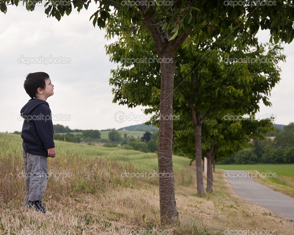 Child under tree in countryside