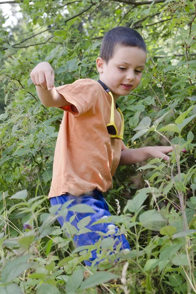 Bambino nella natura selvaggia — Foto Stock