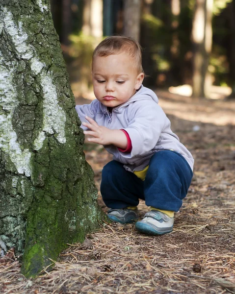 Kind in bos — Stockfoto