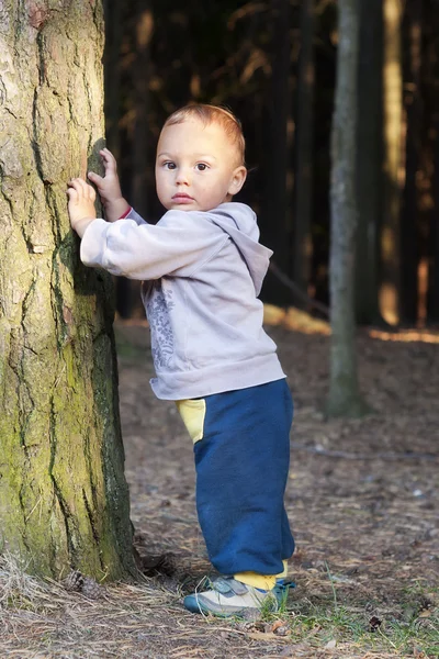 Bambino nella foresta — Foto Stock