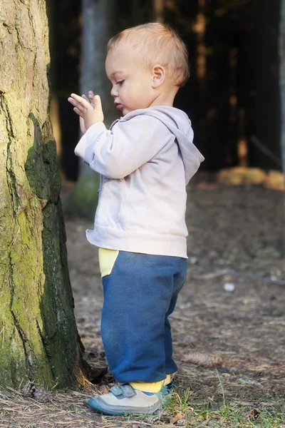 Criança na floresta — Fotografia de Stock