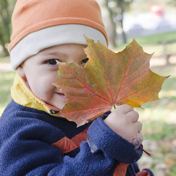 Barn med höstens löv — Stockfoto