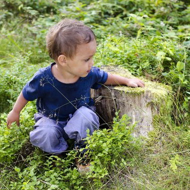 gyermek erdei áfonya