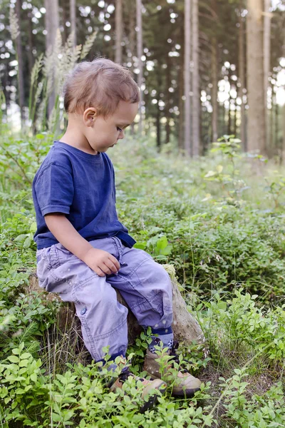 Child in blueberry forest — Stock Photo, Image