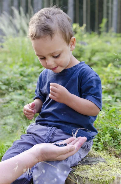 Criança comendo mirtilos na floresta — Fotografia de Stock