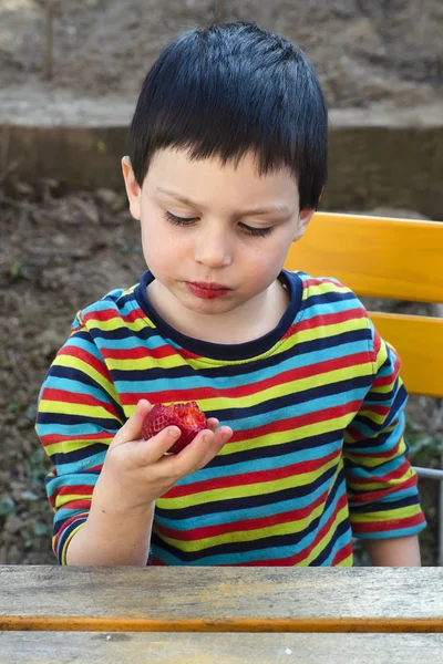 Niño comiendo fresa —  Fotos de Stock