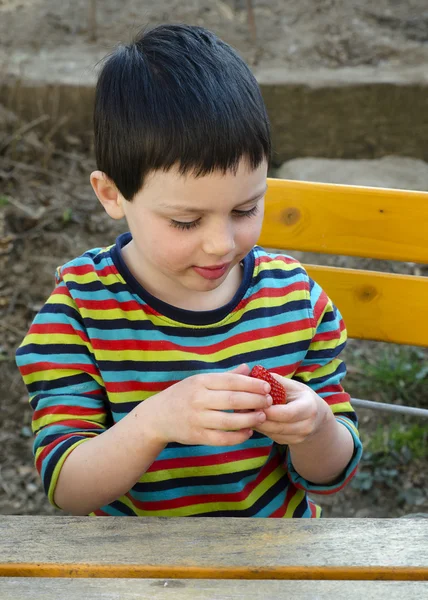 Barn äter jordgubbe — Stockfoto