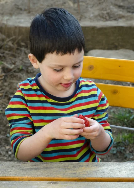 Enfant mangeant des fraises — Photo