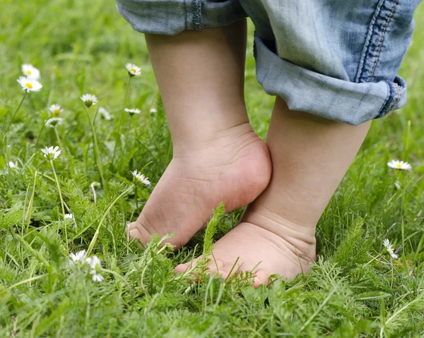 Child feet on grass — Stock Photo, Image