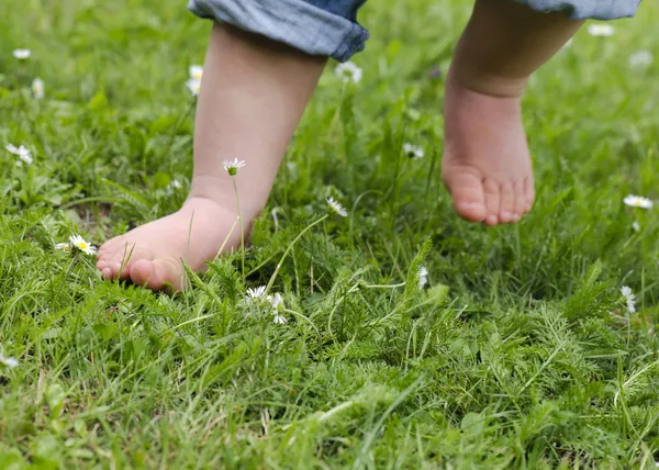 Child feet on grass — Stock Photo, Image