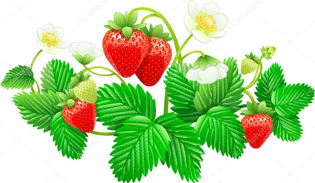 Strawberries