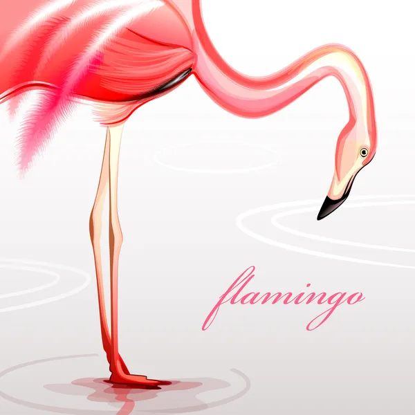 Flaming — Wektor stockowy