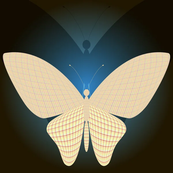 Schmetterling — Stockvektor