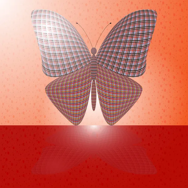 Метелик на стіні і його відображення на горизонтальній поверхні — стоковий вектор