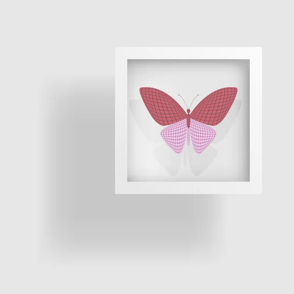 Motýl v obrázku a jeho odraz — Stockový vektor