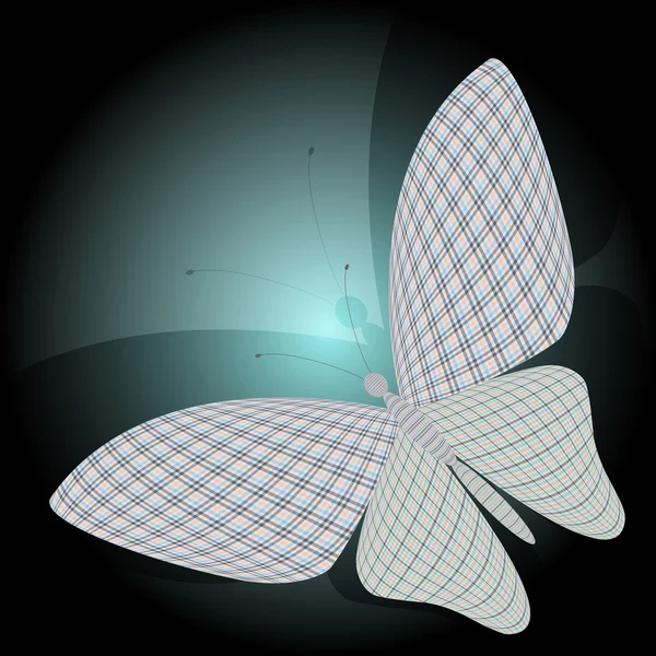 Le papillon et son reflet — Image vectorielle