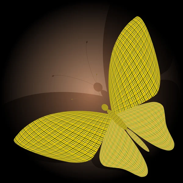 Butterfly ' and ' haar reflectie — Stockvector