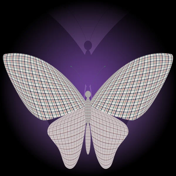 Le papillon et son reflet — Image vectorielle