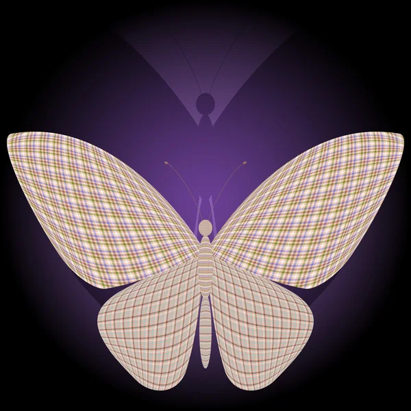 Le papillon et son reflet — Image vectorielle