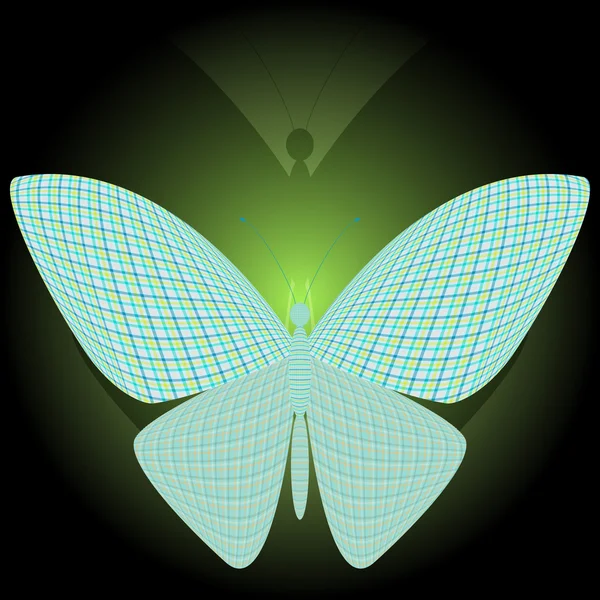 Butterfly ' and ' haar reflectie — Stockvector