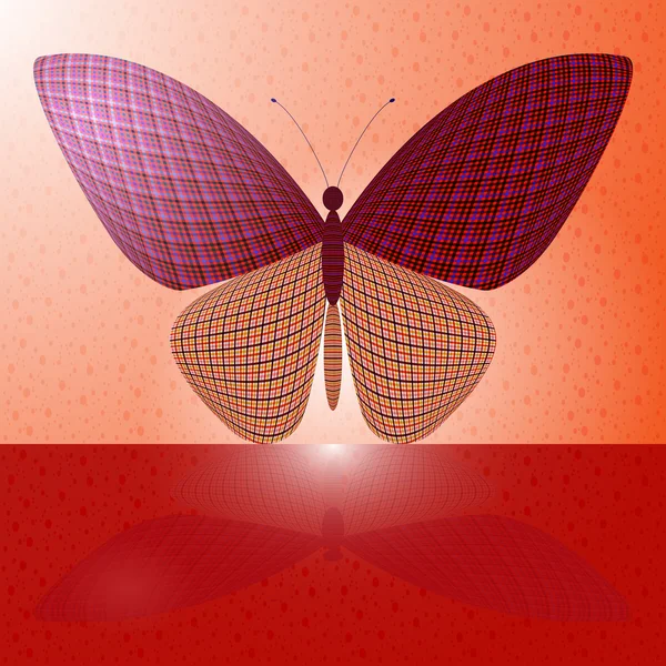 Mariposa en la pared y su reflejo en una superficie horizontal — Vector de stock