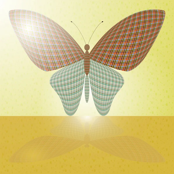 Mariposa en la pared y su reflejo en una superficie horizontal — Vector de stock