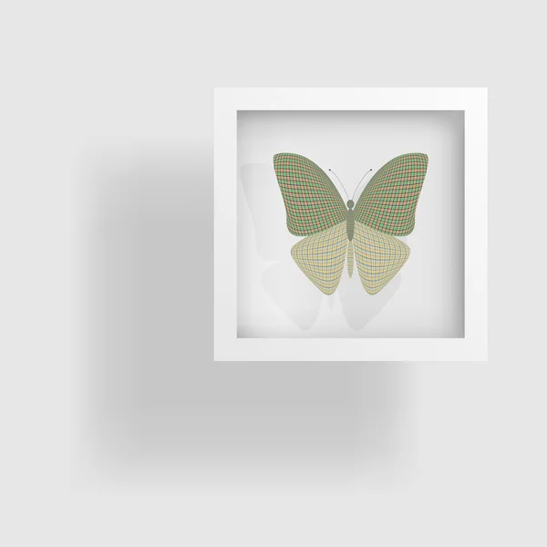 Motýl v obrázku a jeho odraz — Stockový vektor