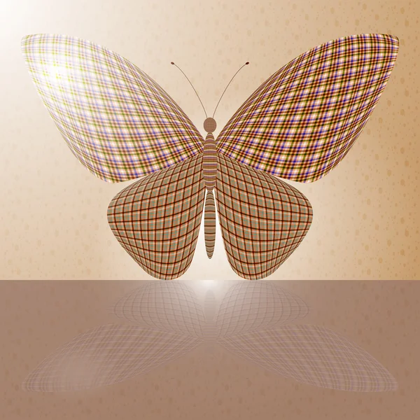 Papillon sur le mur et sa réflexion sur une surface horizontale — Image vectorielle