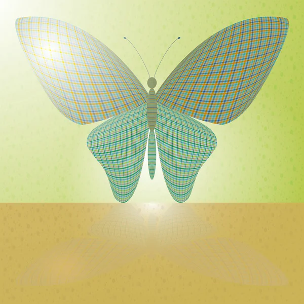 隔离墙和其在水平表面上的反射上的蝴蝶 — 图库矢量图片