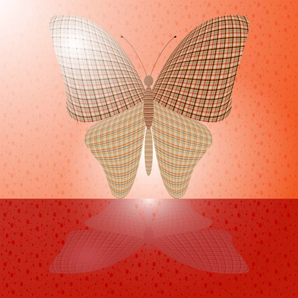 Motýl na zdi a její reflexe na vodorovném povrchu — Stockový vektor