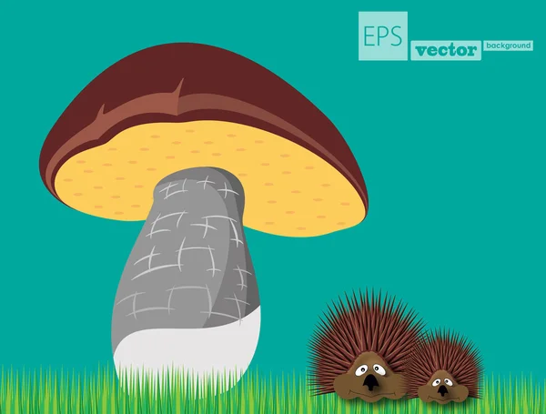 Hedgehogs and mushroom — Stock Vector