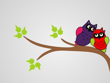 Baykuşlar ağaç üzerinde