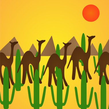 Çölde deve silhouettes