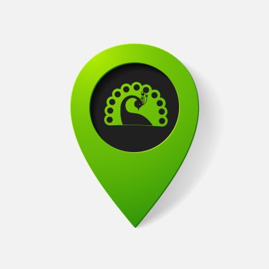 gerçekçi renk işaretçisi: tavus kuşu