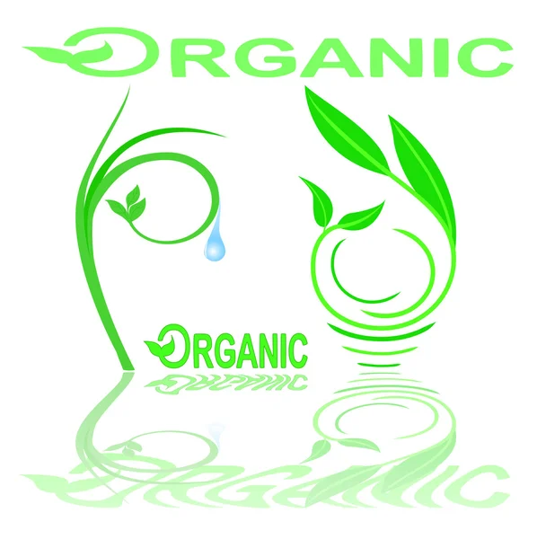 Vector organic ecology symbols — Stock Vector
