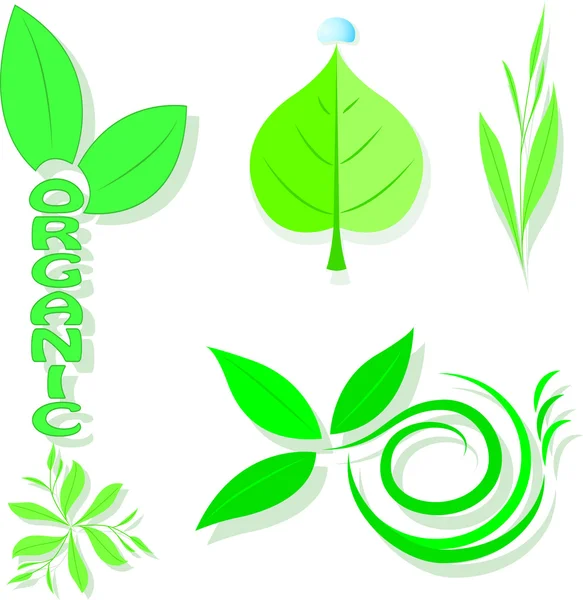 Vector organic ecology symbols — Stock Vector
