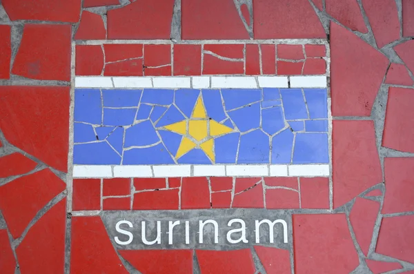 Bandera de Surinam Imagen de stock