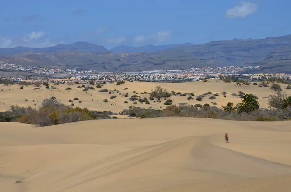 Dune di sabbia con montagne sullo sfondo Immagine Stock