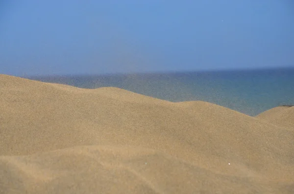 Dune di sabbia III Fotografia Stock