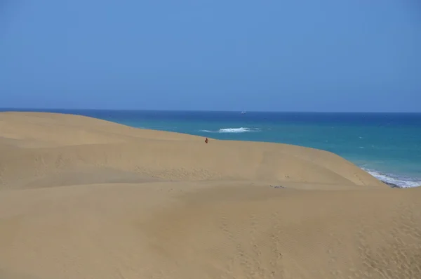 Dune di sabbia Immagine Stock