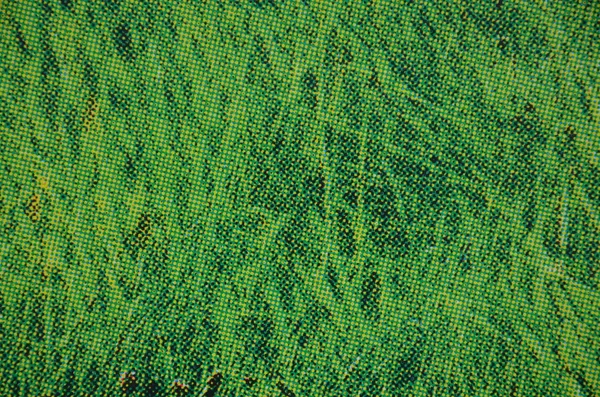 Textura de fondo de hierba verde — Foto de Stock