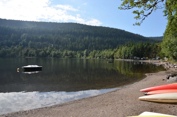 Vackra marinmålning. Titisee, schwarzwald - Tyskland Stockfoto