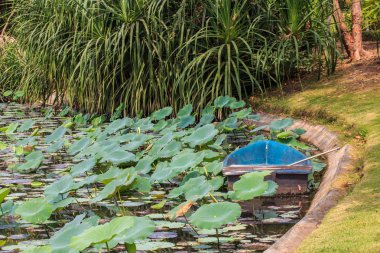 Nilüfer gölet üzerinde küçük mavi Kano.