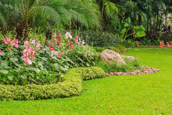 Mooie hollyhock bloemen en stenen in tuin. — Stockfoto