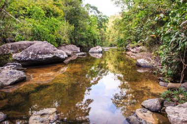 Forrest yaz aylarında göl.