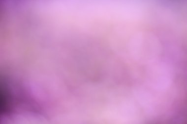 Güneşli soyut pembe doğa arka plan, seçici odak. 