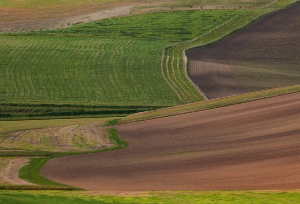 Farbiges Feld — Stockfoto