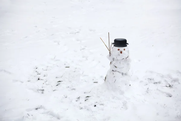 Pupazzo di neve — Foto Stock