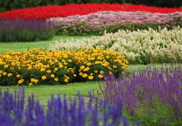 Jardin de fleurs Photo De Stock